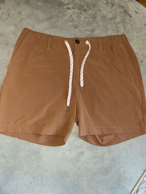 chubbies Blue and Yellow Pineapple Label Casual Shorts